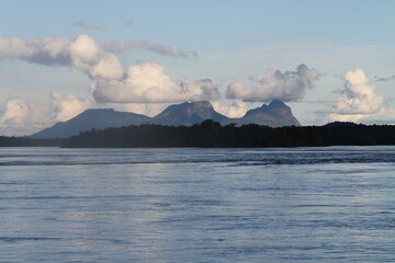 Lush landscape on the Amazon river