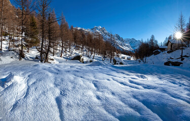 winter landscape in the mountains