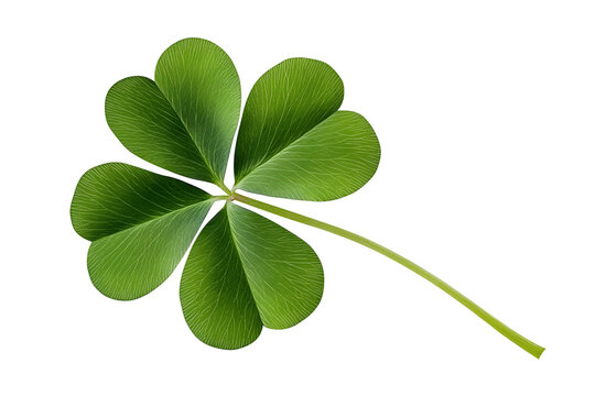Green four leaf clover png isolated on transparent background