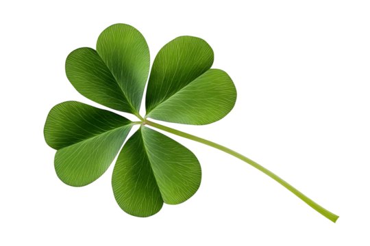 Green four leaf clover png isolated on transparent background