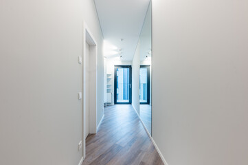 Modern Home Hallway With Wooden Floor and Mirror Featuring Contemporary Lighting