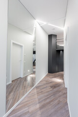 Modern Minimalist Luxury Home Interior Corridor with Geometric Design and Wooden Flooring