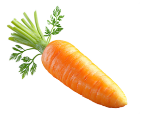 Fresh orange carrot with green tops png isolated on transparent background