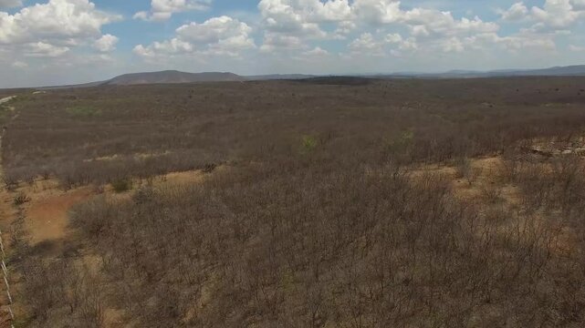 Brazilian backlands, caatinga, drought, landscape with scorching sun