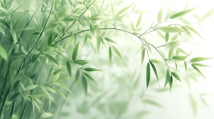 Naklejka premium Serene bamboo leaves in soft light.