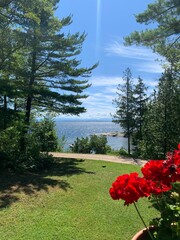 This beautiful photo captures a vibrant outdoor scene with a stunning view of the lake in the background. The focus is on a bright red flowering plant in a terracotta pot, with lush green grass and ta