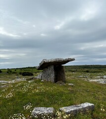 This image features a prehistoric megalithic dolmen located in a serene rural setting. The stone structure is surrounded by vibrant wildflowers and green grass.