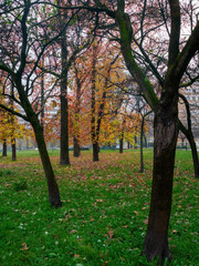 Fototapeta premium Autumn at Piazza Giovanni XXIII, Milan