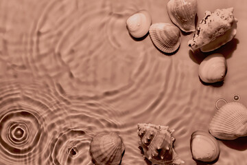Transparent water sea shells background, mocha mousse tinting