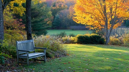 Obraz premium A serene park scene featuring a wooden bench beside vibrant autumn trees and a grassy field.