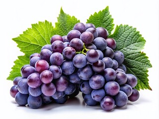 Fototapeta premium Juicy Dark Grapes, Fresh Harvest, White Background, Photography, Stock Photo, Food Image, Rule of Thirds Composition, High Resolution, Grape Vine, Wine Grapes, Dark Purple Grapes