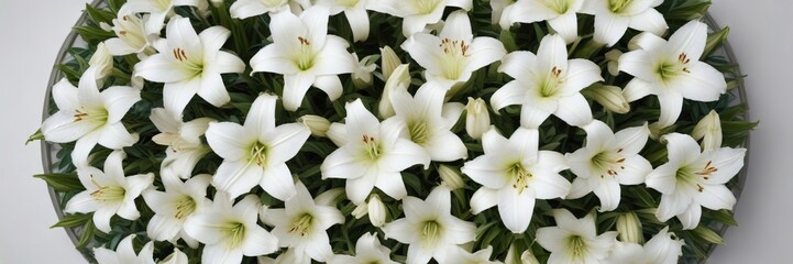 Obraz premium pure white lily flowers arranged in a circular pattern, bouquet, airiness