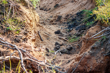 Erosion of a crevice in sandy soil on a slope after rain
