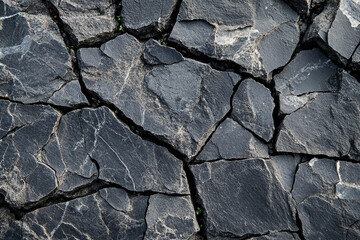 Fototapeta premium Cracked black stone surface revealing natural patterns in a dry landscape