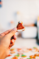 Hand holding cute cookies decorated with love for the Christmas Concept. Vertical photo