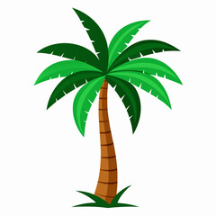 palm tree vector illustration