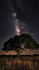 A silhouetted tree under a starry sky with the Milky Way galaxy visible above.