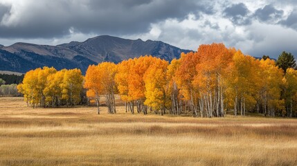 Fototapeta premium A vibrant autumn landscape with golden trees against a mountainous backdrop and cloudy sky.