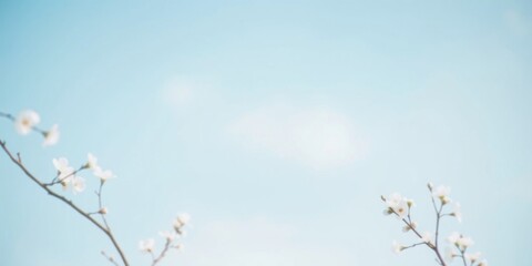 Obraz premium Serene Spring Blossoms Against a Pale Blue Sky