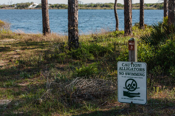 Alligators caution sign reminds visitors that the Florida freshwater Campbell Lake should not be used for swimming, at Topsail Hlil Preserve State Park, Santa Rosa Beach, Florida