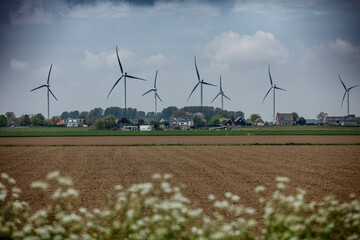 Rural Dutch landscape; wind turbines stand amidst farmhouses, fields.  Sustainable energy amidst...