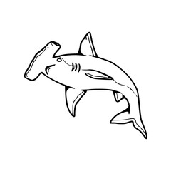 a line art drawing of a shark illustration