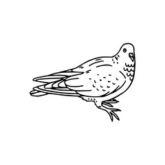 cartoon of a dove coloring page