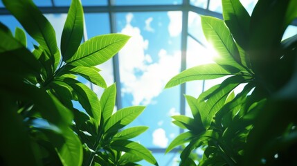 Naklejka premium Growing green plants under clear sky in nature's lush environment close-up viewpoint for sustainable living