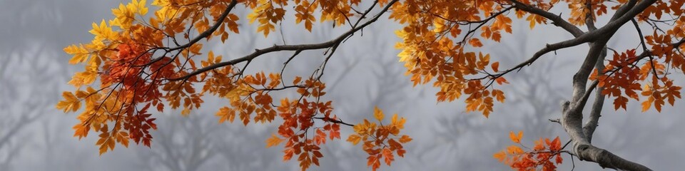 Fototapeta premium Autumn leaves on a tree branch against a grey sky , changing seasons, foliage
