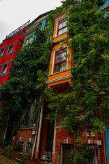 Colorful houses among trees in district Balat in city Istanbul, Turkey
