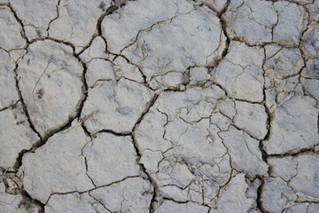 cracked on dehydrated ground