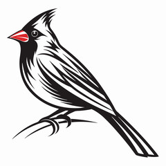 illustration of a bird