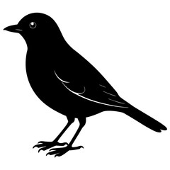 Bird Silhouette vector illustration