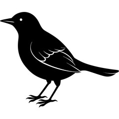 Bird Silhouette vector illustration