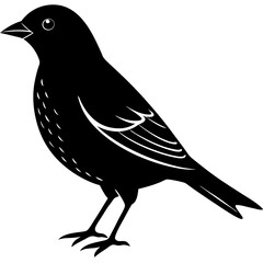 Bird Silhouette vector illustration