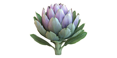 Purple artichoke with green leaves isolated on transparent background