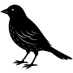 Bird Silhouette vector illustration