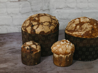panettone chocolate on a white backgroundpanettone chocolate on a white background