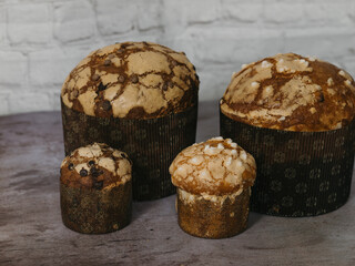 panettone chocolate on a white background