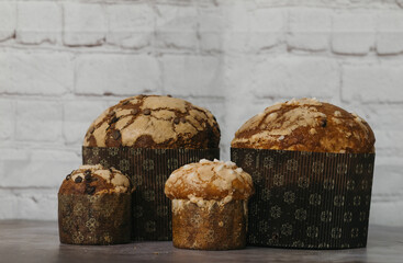 panettone chocolate on a white background