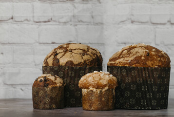 panettone chocolate on a white background