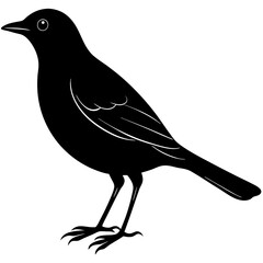 Blackbird Silhouette vector illustration