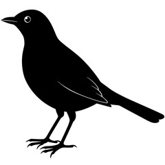 Blackbird Silhouette vector illustration