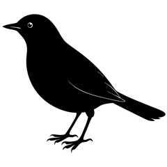 Blackbird Silhouette vector illustration