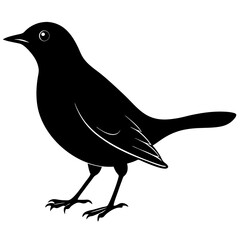 Blackbird Silhouette vector illustration