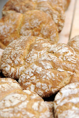 ur parl or rye bread in pairs from south tyrol in northern italy in Valvenosta.