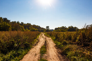 Dirt road going through an overgrown field in the countryside