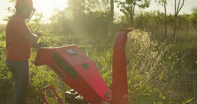 Garden worker using wood chipper for making mulch