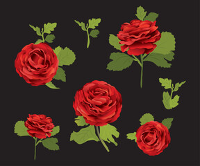 A bouquet of vintage red roses, created with rose petals and bud flowers. Luxurious and magnificent flowers. Vector design horizontal bouquet. Spring wedding flowers.