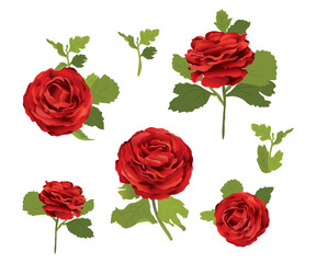 A bouquet of vintage red roses, created with rose petals and bud flowers. Luxurious and magnificent flowers. Vector design horizontal bouquet. Spring wedding flowers.